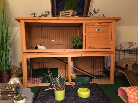 Meerschweinchenzimmer