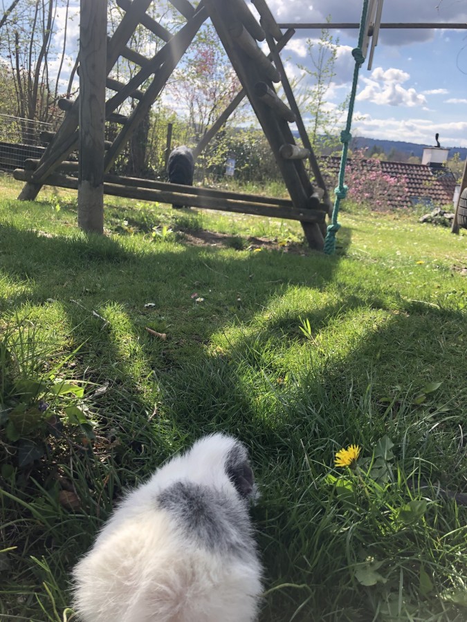 Schönes Wetter geniessen